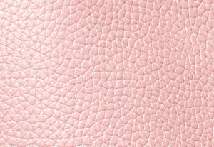 POWDER BLUSH