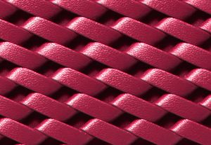 DK RASPBERRY