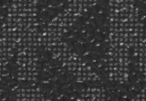 36F3GFLN5B-0001_swatch