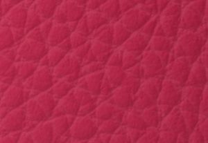 DK RASPBERRY