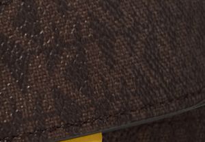 Logo Belt