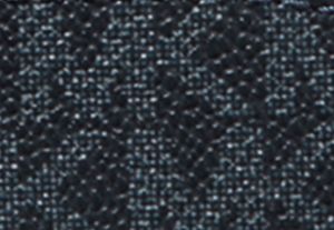 Logo Belt