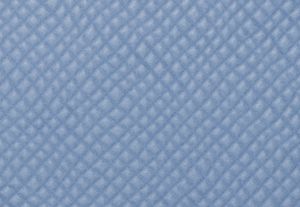 FRENCH BLUE