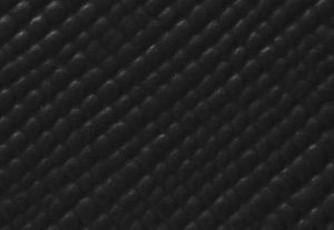 NEGRO