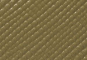 VERDE SAFARI