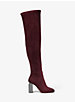 Petra Stretch Over-The-Knee Boot image number 1
