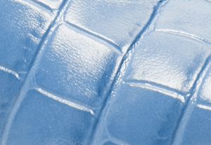 FRENCH BLUE