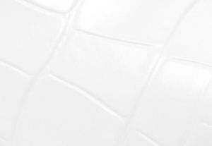 OPTIC WHITE