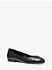 Dylyn Logo Leather Ballet Flat image number 0