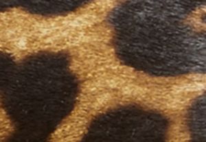 michael kors sabine animal print slides