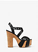 Suki Leather Platform Sandal image number 1