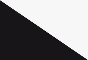 OPTIC WHITE/SWZ