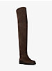 Chesley Suede Over-The-Knee Boot image number 0