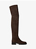 Chesley Suede Over-The-Knee Boot image number 1