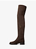 Chesley Suede Over-The-Knee Boot image number 2
