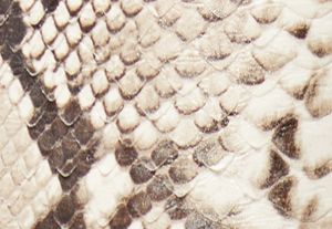 46F3COHA2P-0121_swatch