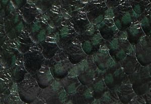 46F3FKMP6P-0335_swatch