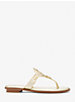 Aubrey Cutout Metallic Leather T-Strap Sandal image number 1
