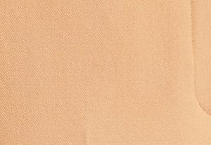 CAMMELLO