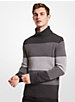 Striped Nylon Blend Turtleneck Sweater image number 0