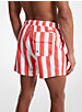 Woven Striped Swim Trunks image number 1