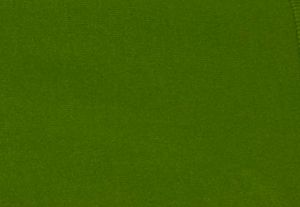 VERDE PALMERA