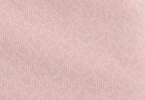 POWDER BLUSH