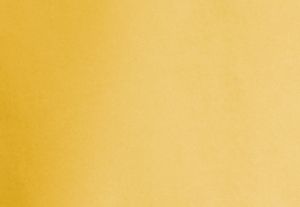 BRIGHT DAISY YELLOW