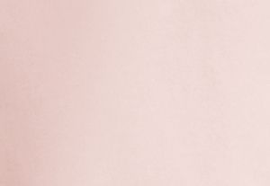 POWDER BLUSH