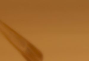 HORN