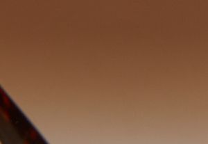 &Eacute;CAILLE DE TORTUE FONC&Eacute;E