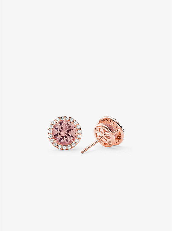 Precious Metal-Plated Sterling Silver Stone Halo Stud Earrings image number 1